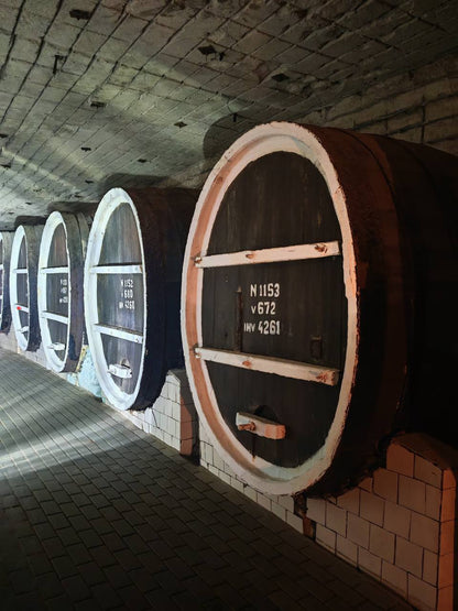 Mileștii Mici Tour (The World’s Largest Wine Cellar)