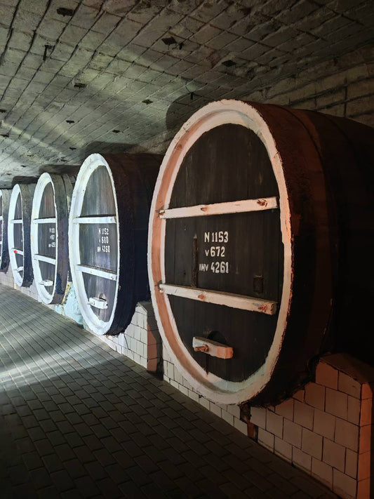 Mileștii Mici Tour (The World’s Largest Wine Cellar)