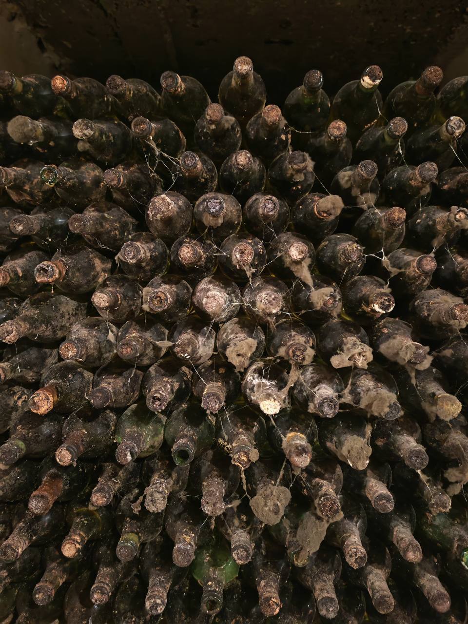 Mileștii Mici Tour (The World’s Largest Wine Cellar)