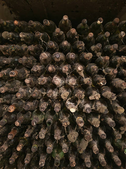 Mileștii Mici Tour (The World’s Largest Wine Cellar)