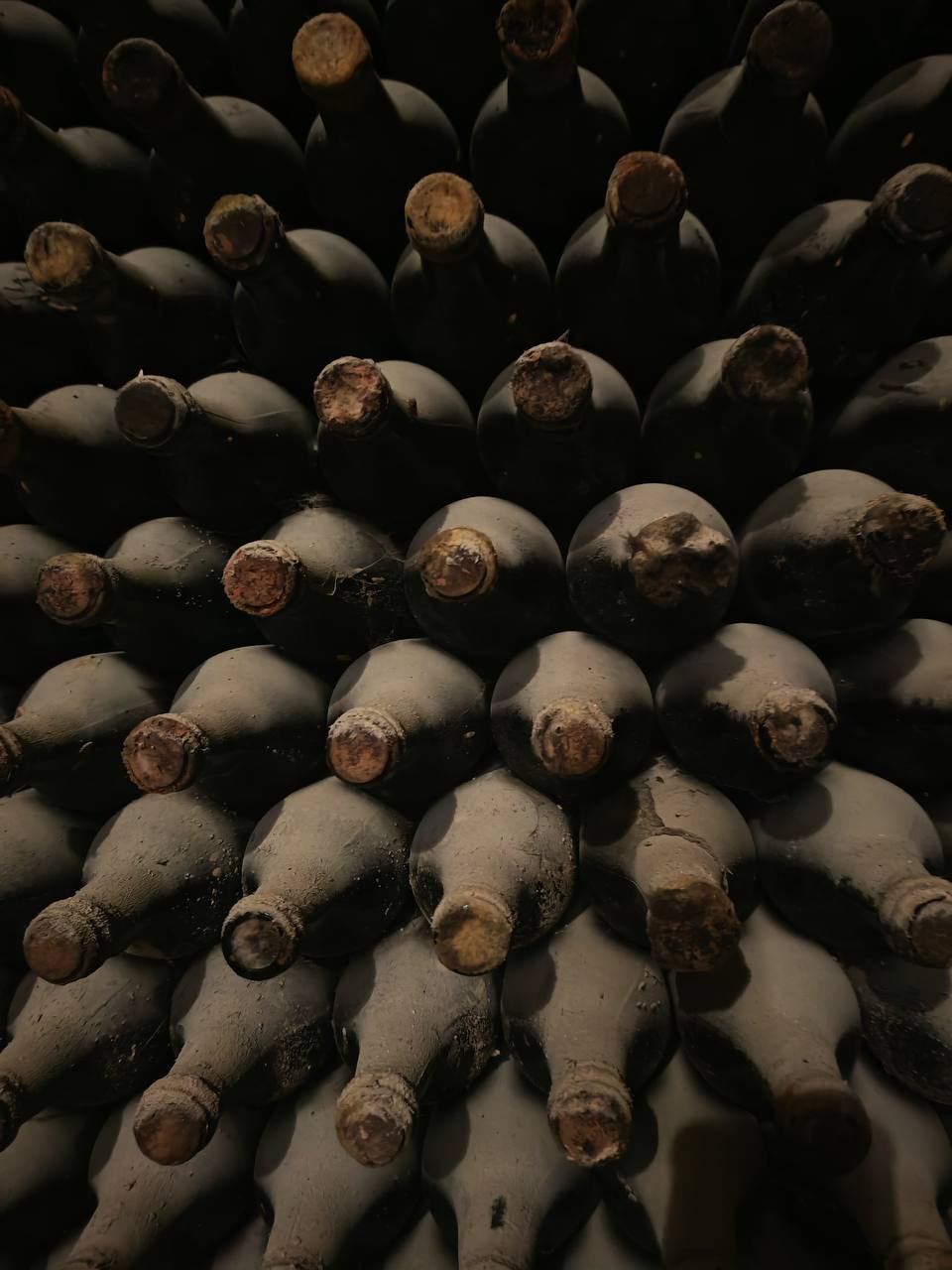 Mileștii Mici Tour (The World’s Largest Wine Cellar)