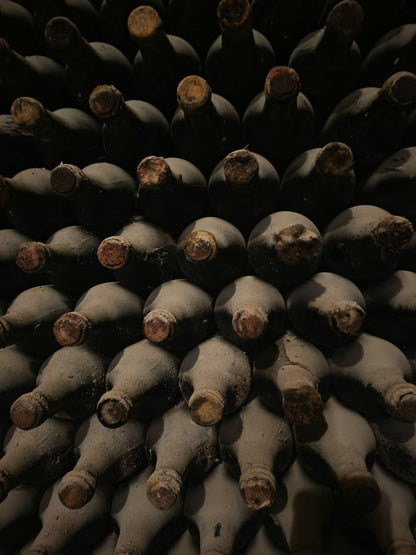 Mileștii Mici Tour (The World’s Largest Wine Cellar)