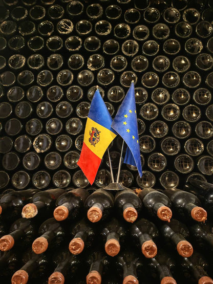Mileștii Mici Tour (The World’s Largest Wine Cellar)