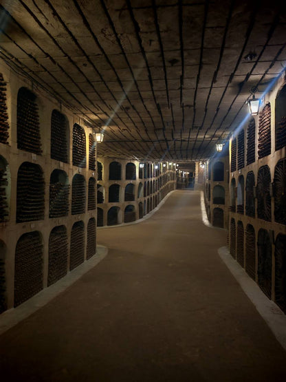 Mileștii Mici Tour (The World’s Largest Wine Cellar)