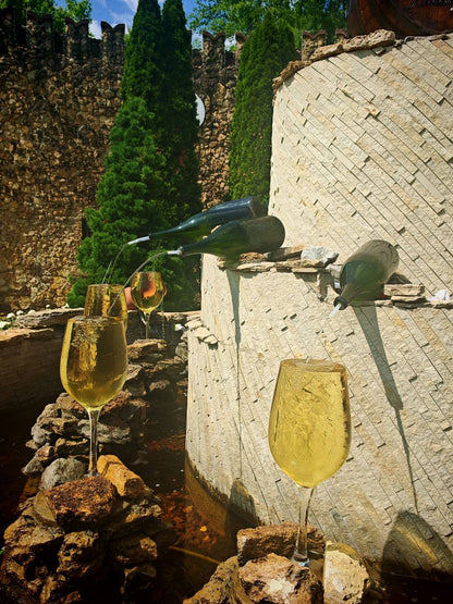 Mileștii Mici Tour (The World’s Largest Wine Cellar)